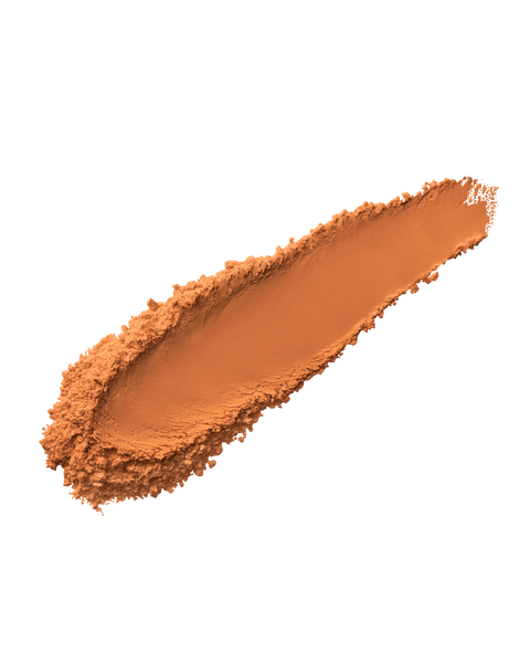 Pro Filt'r Instant Retouch Setting Powder — Nutmeg