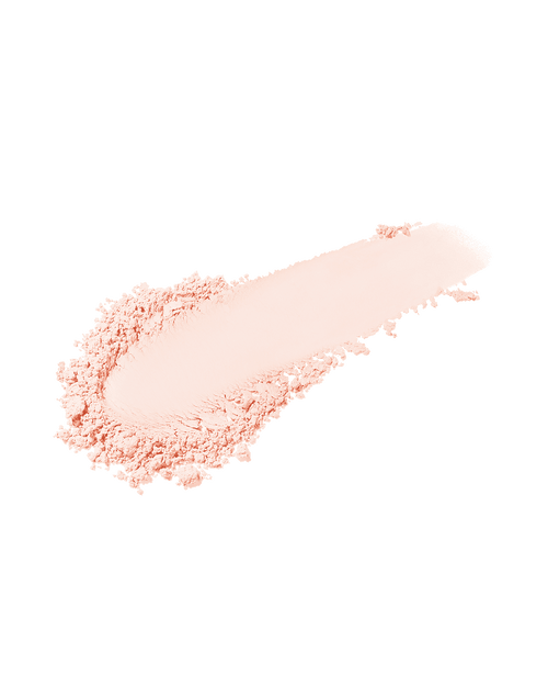 Pro Filt'r Soft Matte Powder Foundation — #100