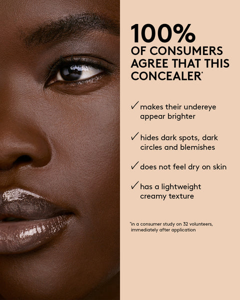 We're Even Hydrating Longwear Concealer — 110W