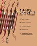 Trace'd Out Longwear Waterproof Pencil Lip Liner — They So Vine