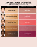 Fenty Cheeks Suede Powder Blush — Bubbleband$